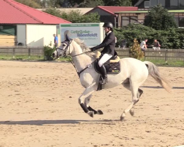 Reitturnier Schülp / Rendsburg 2020