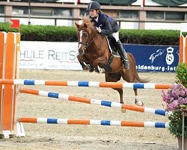 broodmare Nicola 2 (German Riding Pony, 1996, from Playback)