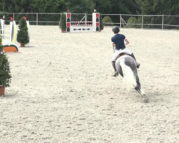 Reitturnier Winkel 2020