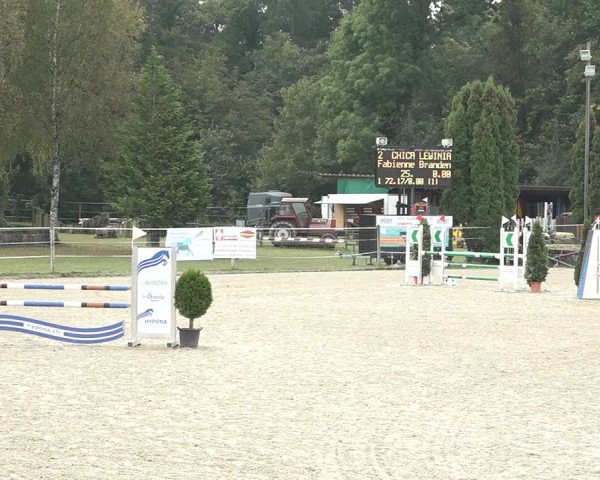 Reitturnier Winkel 2020