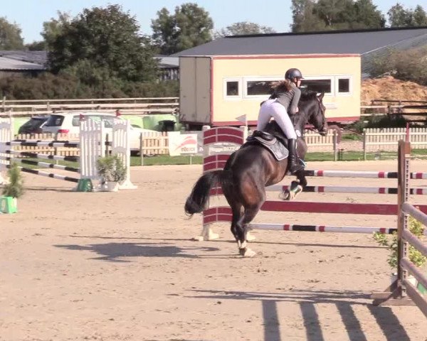 Reitturnier Schülp / Rendsburg 2020