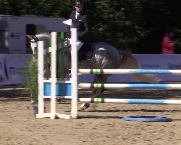 Reitturnier Buchenhof-Ibbenbüren 2020