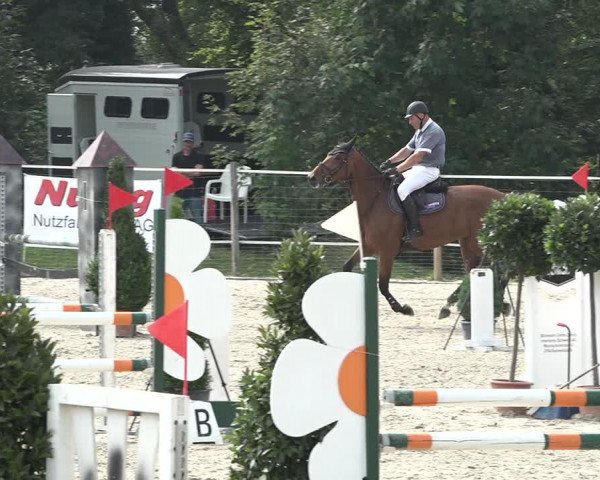 Reitturnier Winkel 2020
