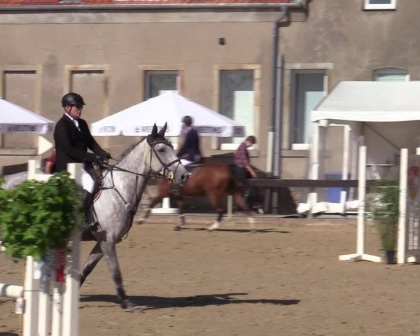 Reitturnier Buchenhof-Ibbenbüren 2020