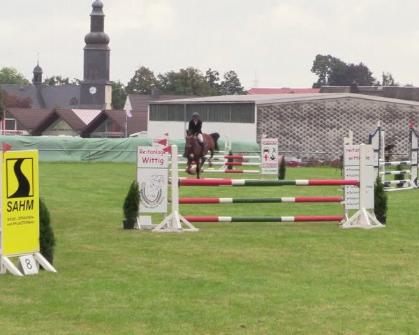 Reitturnier Altmittweida 2021
