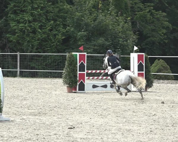 Reitturnier Winkel 2020