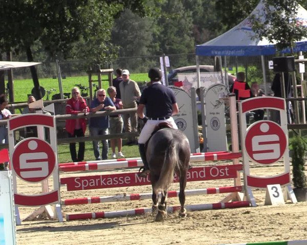 Reitturnier Albersloh 2020