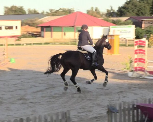 Reitturnier Schülp / Rendsburg 2020