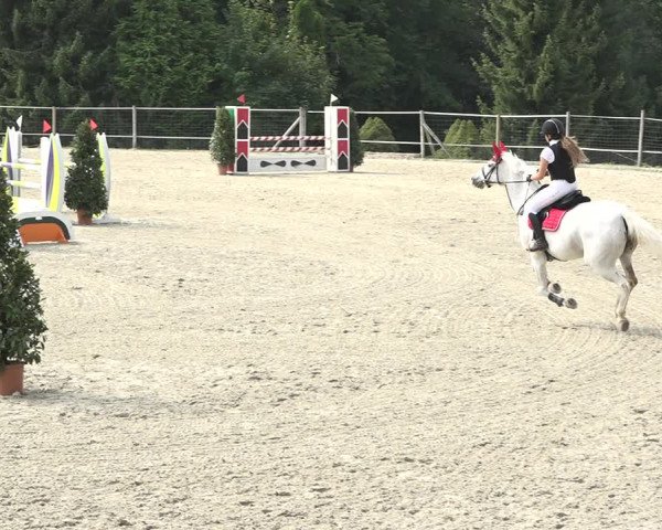 Reitturnier Winkel 2020