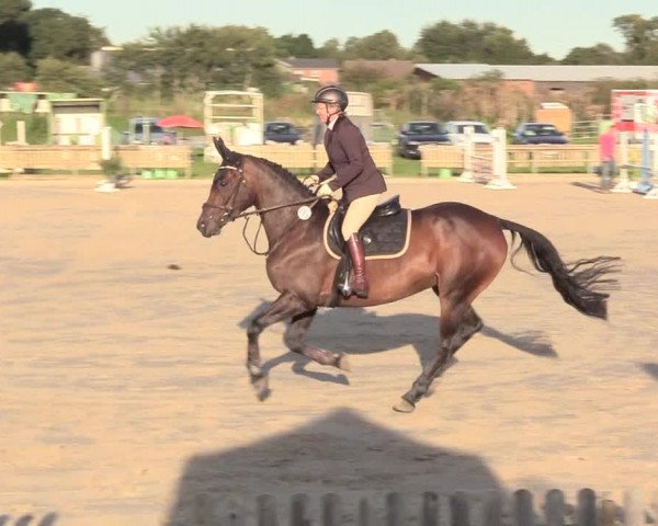 Reitturnier Schülp / Rendsburg 2020