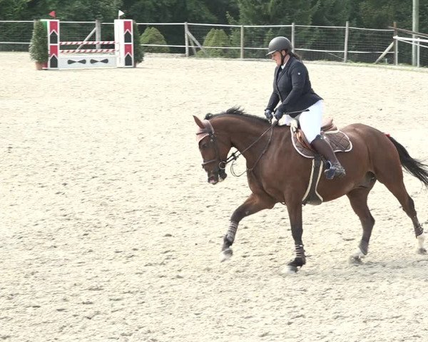 Reitturnier Winkel 2020