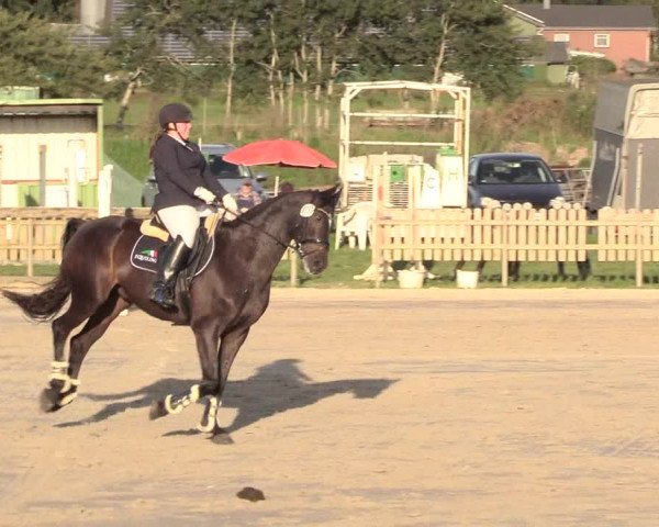 Reitturnier Schülp / Rendsburg 2020