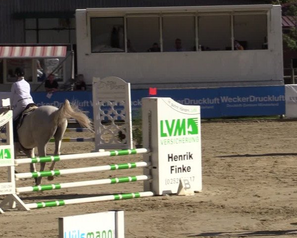 Reitturnier Albersloh 2020