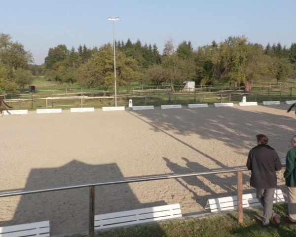 Reitturnier Köngen 2020