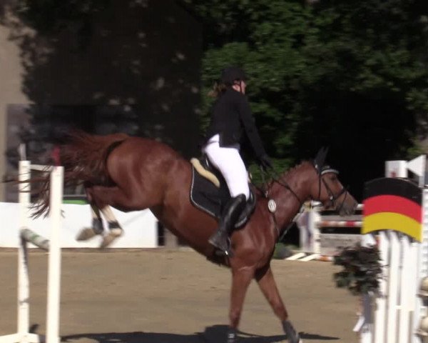 Reitturnier Buchenhof-Ibbenbüren 2020