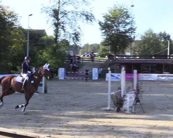 Reitturnier Buchenhof-Ibbenbüren 2020