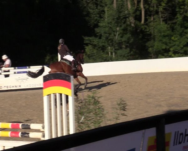 Reitturnier Buchenhof-Ibbenbüren 2020