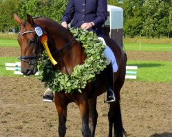 dressage horse Lioness 40 (Hanoverian, 2004, from Lemon Park)