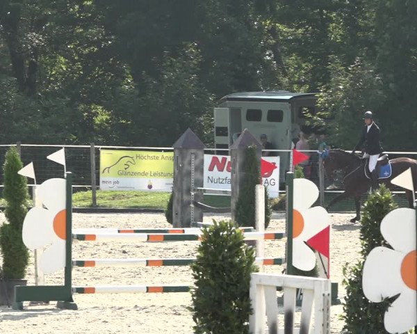 Reitturnier Winkel 2020