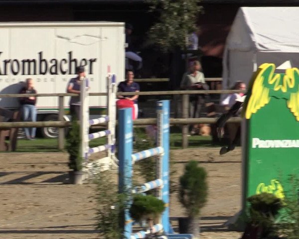 Reitturnier Albersloh 2020