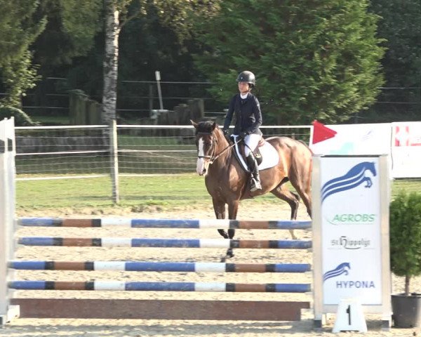 Reitturnier Winkel 2020