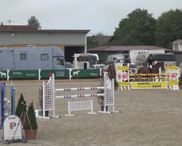 Reitturnier Sauldorf-Boll 2020