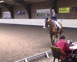 dressage horse Milena 13 (unknown, 2000)