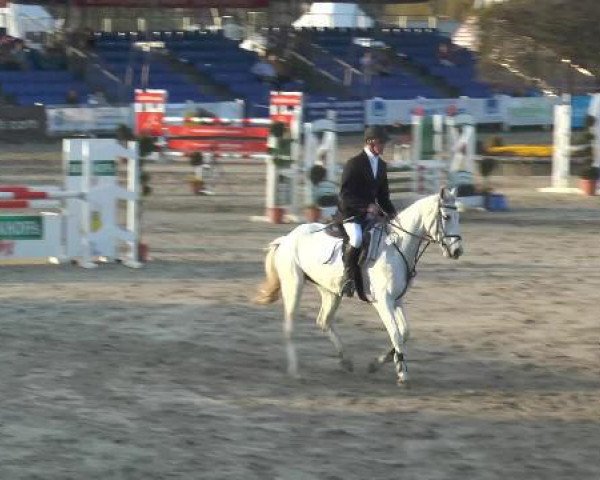 broodmare Celest Z (Westphalian, 2010, from Congress)