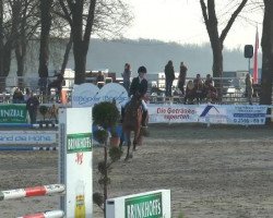 jumper Cantate 42 (Holsteiner, 2010, from Canto)