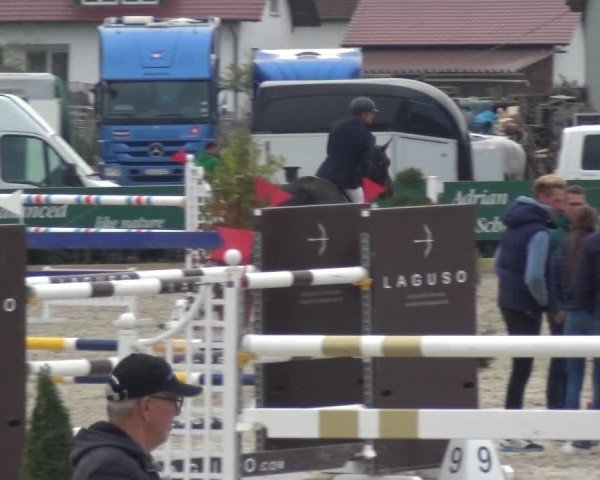 Reitturnier Sauldorf-Boll 2020