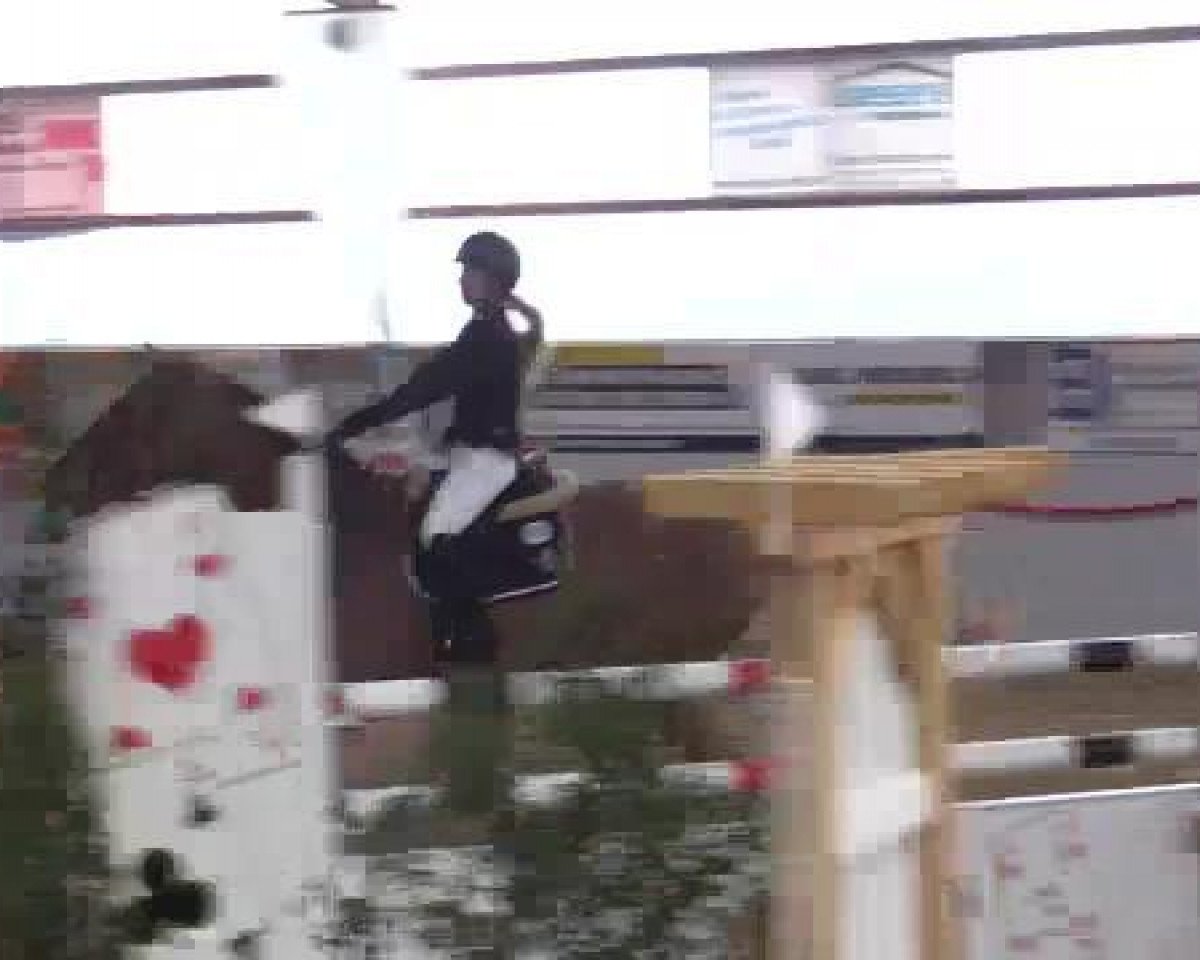 horse Stakka Lou (unknown, 2008)