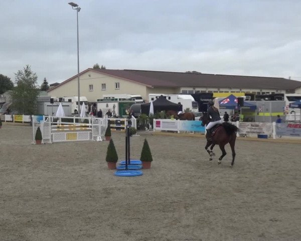 Reitturnier Sauldorf-Boll 2020