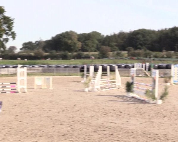 Reitturnier Schülp / Rendsburg 2020
