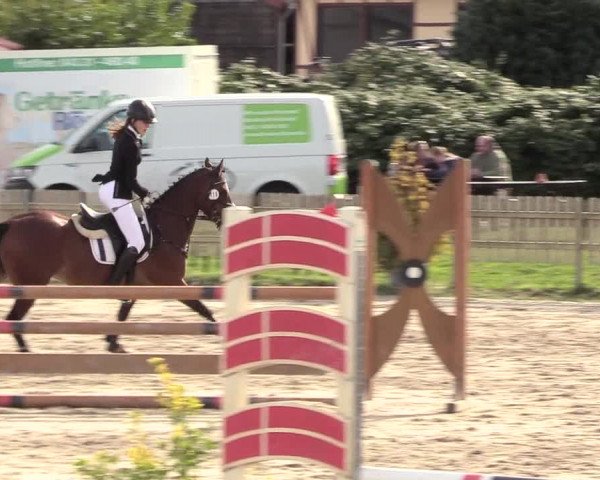 Reitturnier Schülp / Rendsburg 2020
