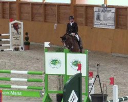 jumper Seminem (KWPN (Royal Dutch Sporthorse), 2010, from Singapore)