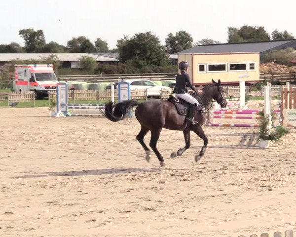 Reitturnier Schülp / Rendsburg 2020