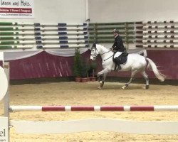 jumper Locanto 3 (Bavarian, 2010, from Lord Z)