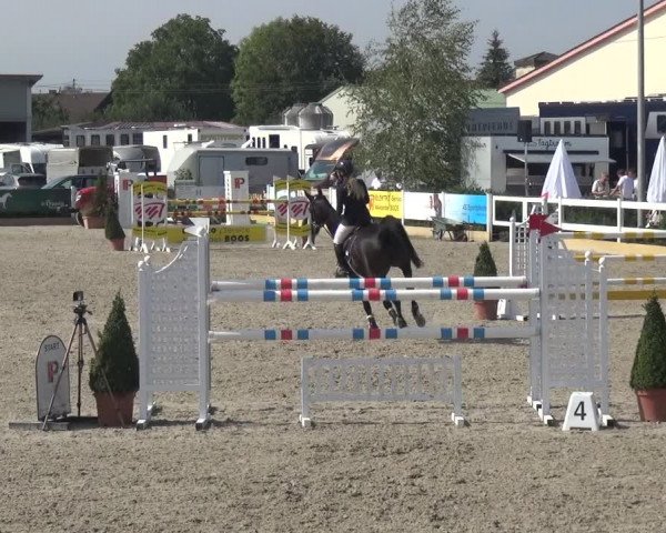 Reitturnier Sauldorf-Boll 2020