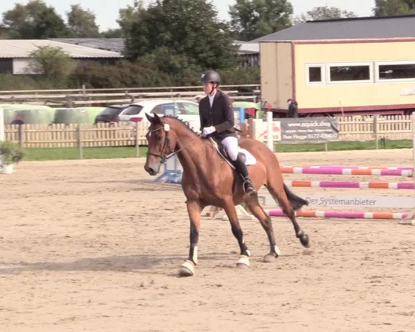 Reitturnier Schülp / Rendsburg 2020