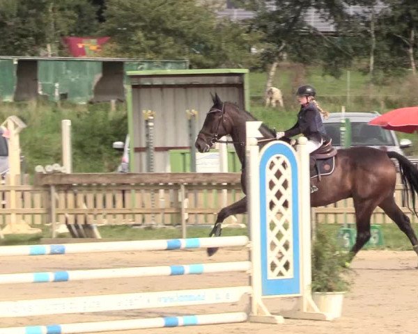 Reitturnier Schülp / Rendsburg 2020