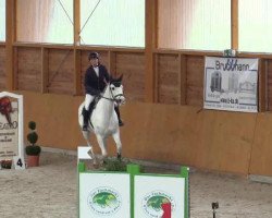 Springpferd Clintox (Westfale, 2009, von Clinton)