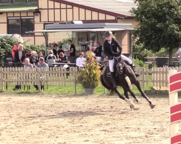 Reitturnier Schülp / Rendsburg 2020