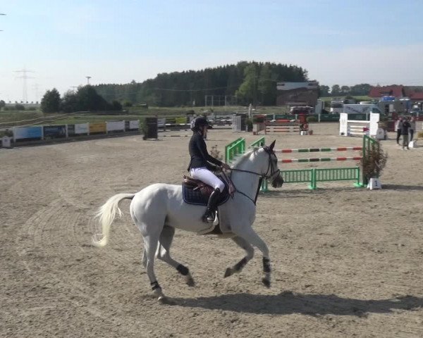 Reitturnier Sauldorf-Boll 2020