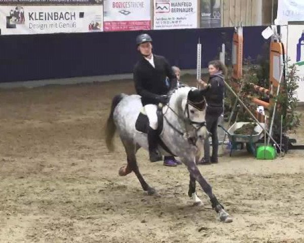 jumper Corsino M (Württemberger, 2010, from Cor de Pomme)