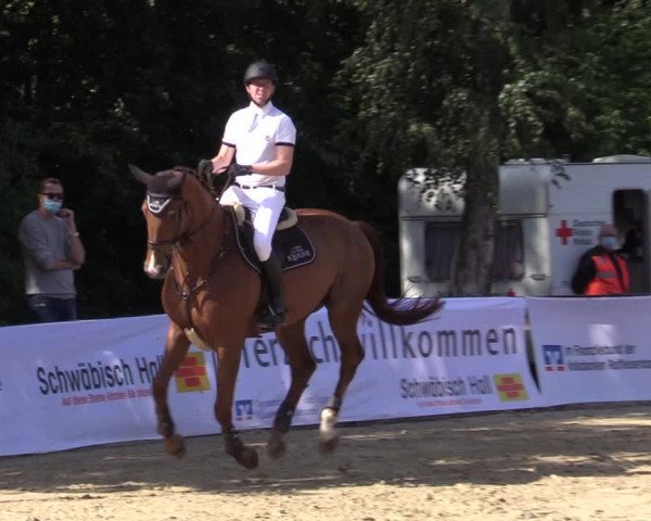 Reitturnier Buchenhof-Ibbenbüren 2020