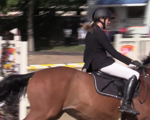 Reitturnier Buchenhof-Ibbenbüren 2020