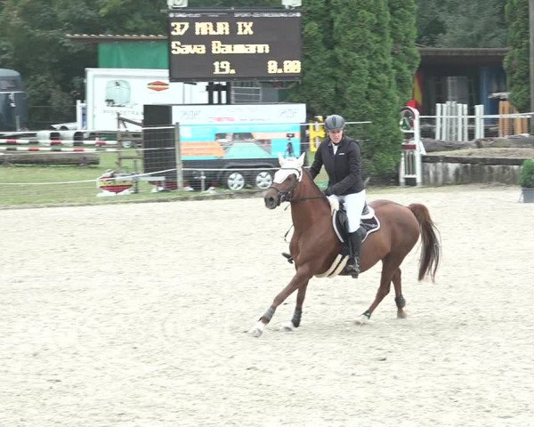 Reitturnier Winkel 2020