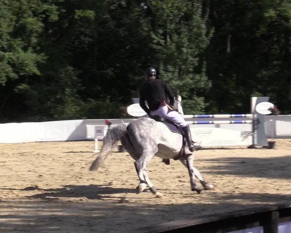 Reitturnier Buchenhof-Ibbenbüren 2020