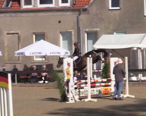Reitturnier Buchenhof-Ibbenbüren 2020