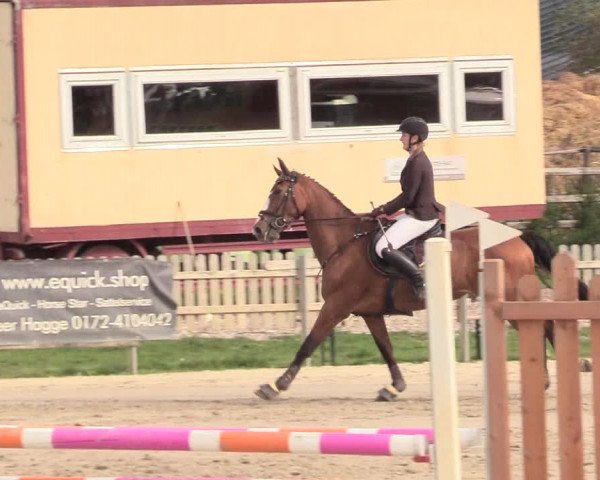 Reitturnier Schülp / Rendsburg 2020